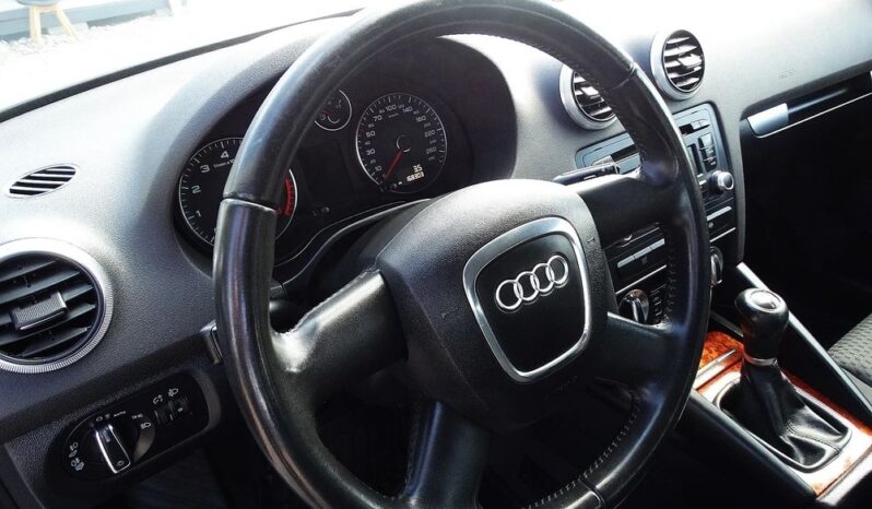 Audi A3 – LIFT! 2009r.! 1.6 MPI! Serwis! Klimatronic! Świeżo Sprow.! Zarejestr.! full