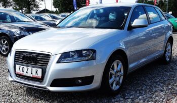 Audi A3 – LIFT! 2009r.! 1.6 MPI! Serwis! Klimatronic! Świeżo Sprow.! Zarejestr.! full