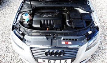 Audi A3 – LIFT! 2009r.! 1.6 MPI! Serwis! Klimatronic! Świeżo Sprow.! Zarejestr.! full