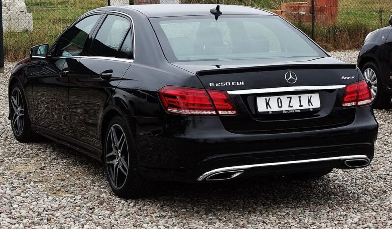 Mercedes-Benz Klasa E 250 CDI 4-Matic Avantgarde full
