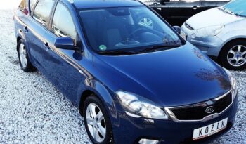 Kia Ceed – 2012r.! 1.6 16V! Klima! Alu! Świeżo Sprowadzony! Zarejestrowany! full