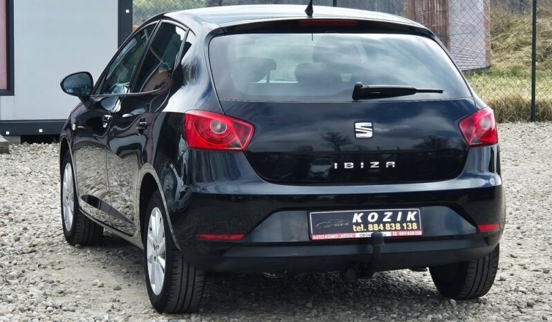 Seat Ibiza 1.4 16V Copa full