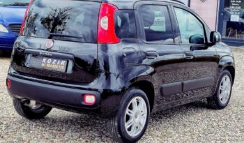Fiat Panda – 2020r.! 1.2 benz.! 99tys.km! Klima! Navi! Kamera Cofania! full